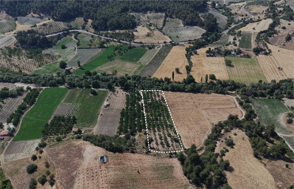 10,000 sqm Profitable Walnut Orchard in an Ideal Natural Setting